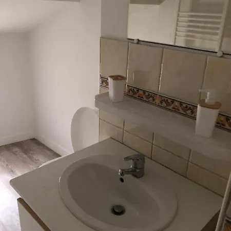 Appartement Cosy Et Lumineux Caussens