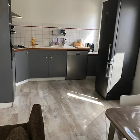 Cosy Et Lumineux Appartement Caussens